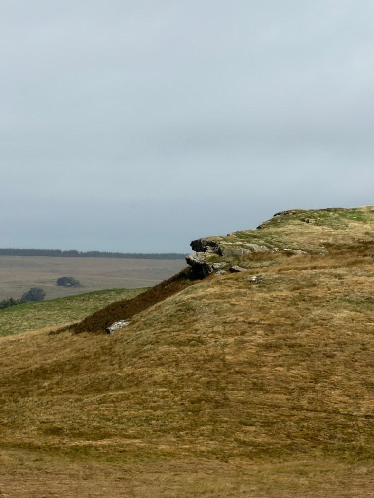 A layered rock outcrop with a dark recess on a treeless grassy ridge beneath an overcast sky in Northumberland.